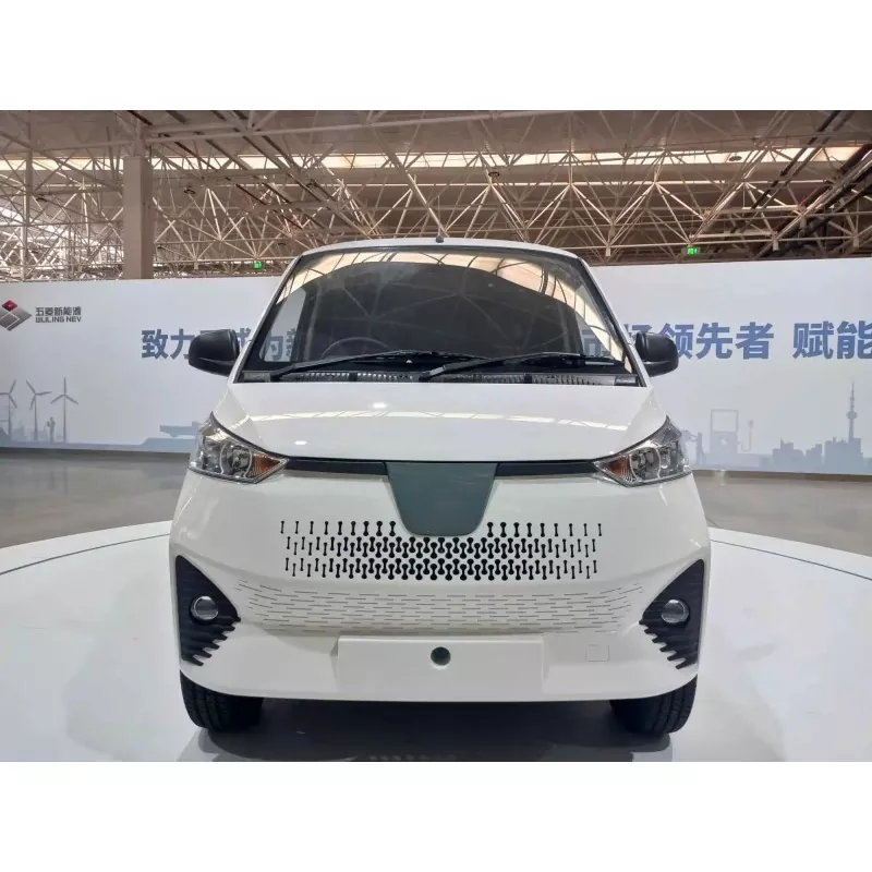 Kini Electric Mini Van?