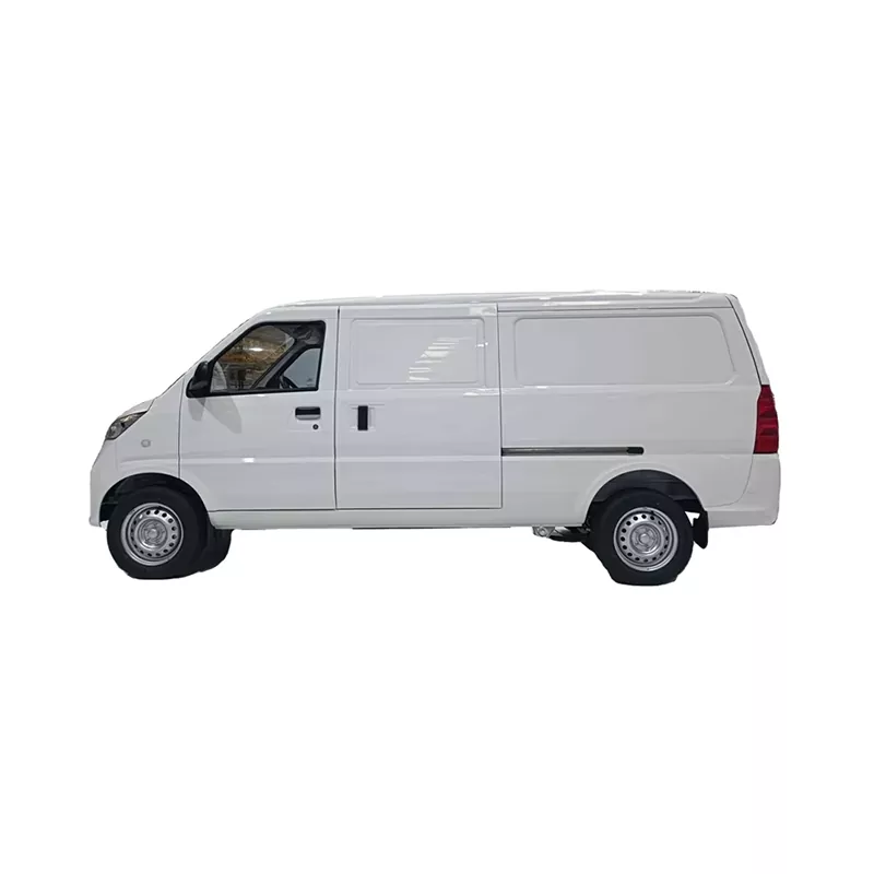 Wilking G100 Cargon van